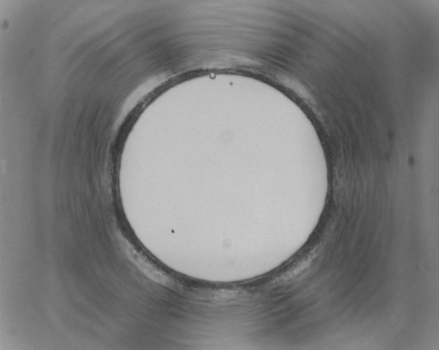 X0000062671122200601181854