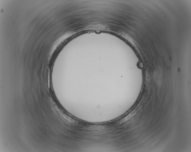 X0000062671123200601181854