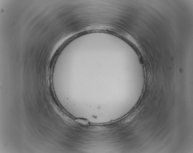 X0000062671124200601181854