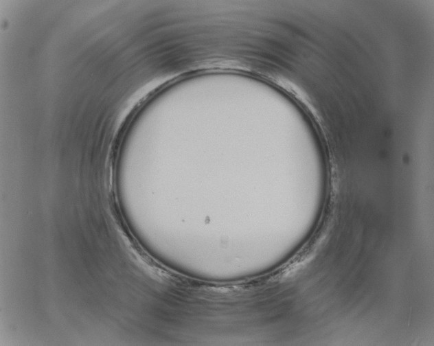 X0000062671125200601181854