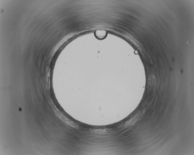 X0000062671126200601181854