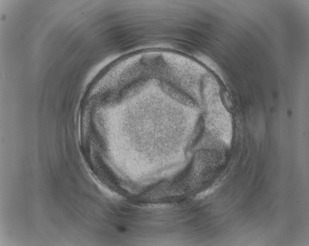 X0000062671127200601181854