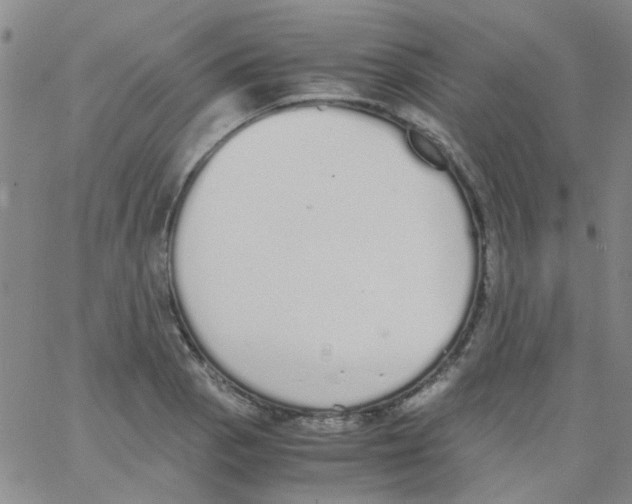 X0000062671129200601181854