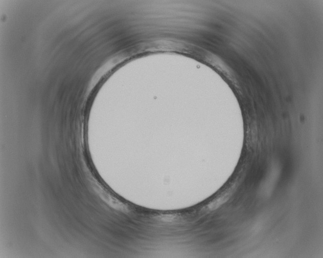 X0000062671130200601181854