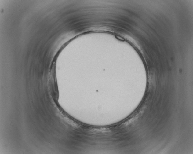 X0000062671133200601181854