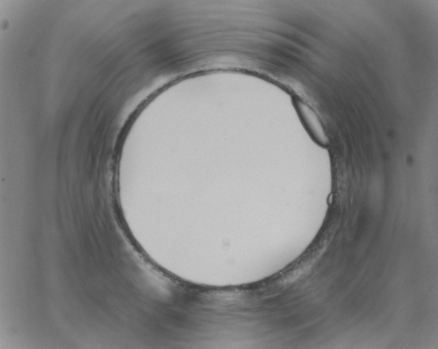 X0000062671134200601181854