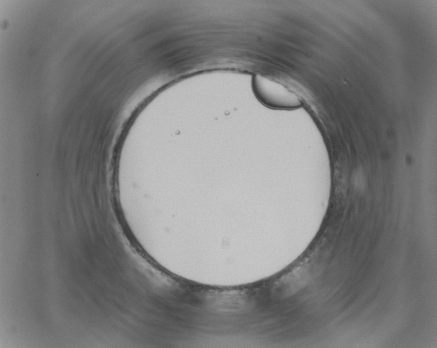 X0000062671135200601181854