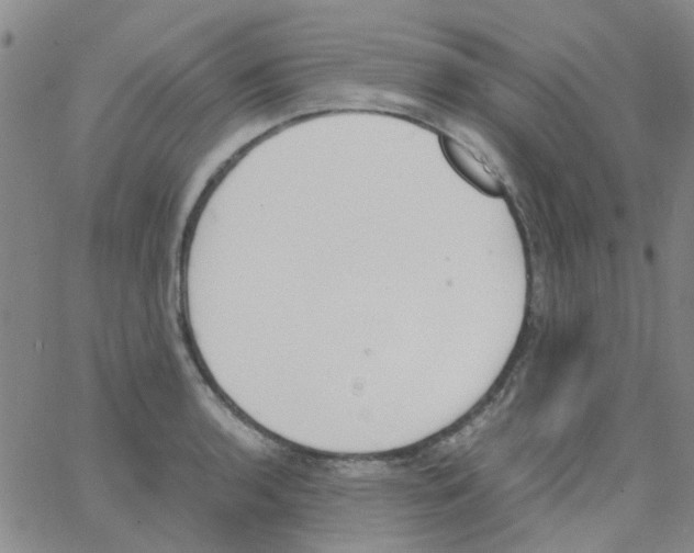 X0000062671136200601181854