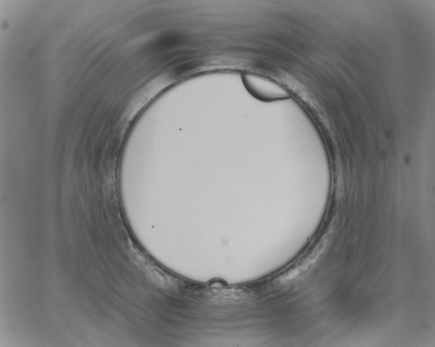 X0000062671137200601181854