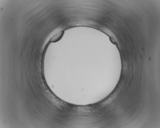 X0000062671138200601181854