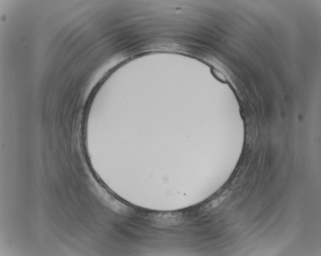 X0000062671139200601181854