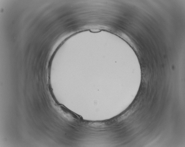 X0000062671140200601181854