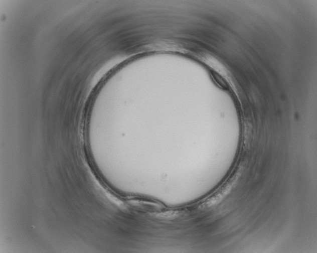 X0000062671141200601181854