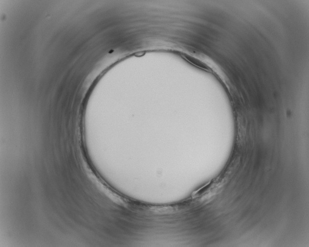 X0000062671142200601181854