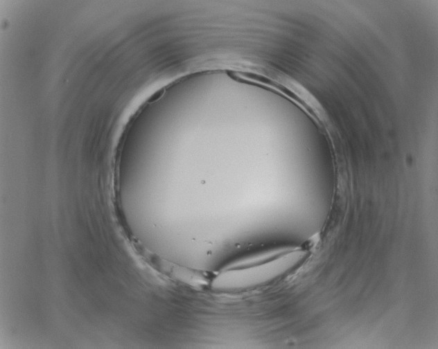 X0000062671144200601181854