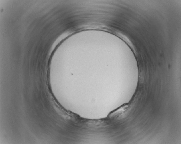 X0000062671146200601181854