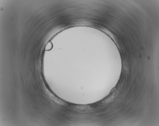 X0000062671147200601181854