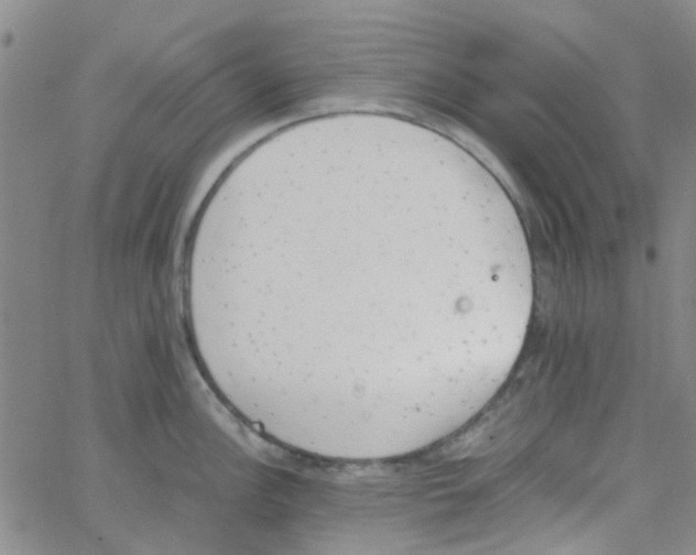 X0000062671148200601181854