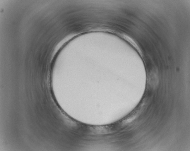 X0000062671149200601181854