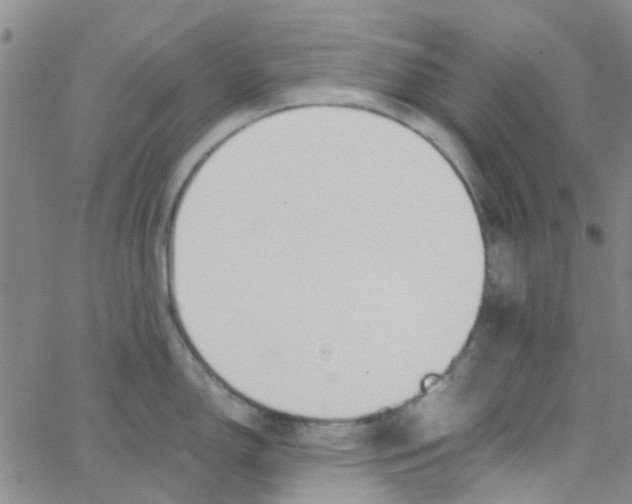 X0000062671150200601181854