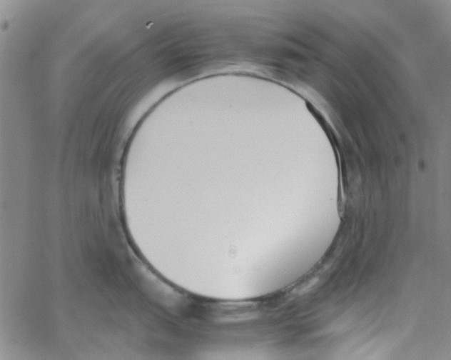 X0000062671151200601181854