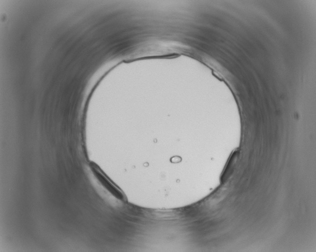 X0000062671152200601181854