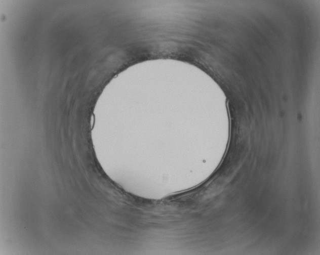 X0000062671153200601181853