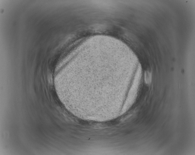 X0000062671155200601181853