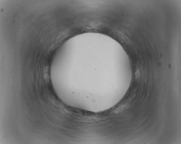 X0000062671156200601181853