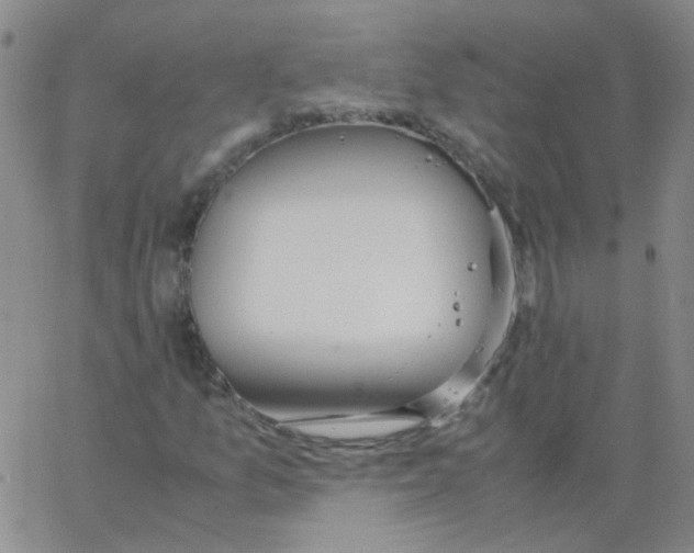 X0000062671157200601181853