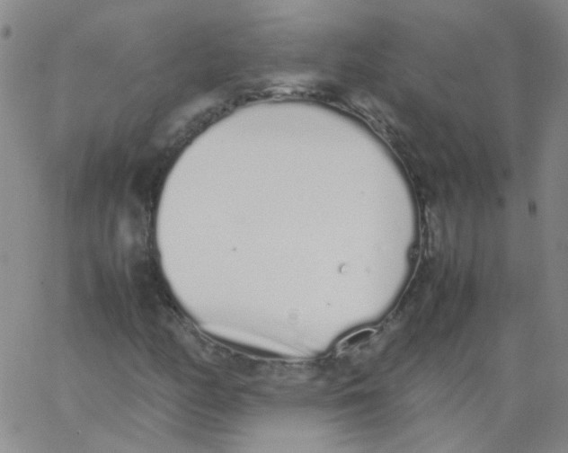 X0000062671158200601181853