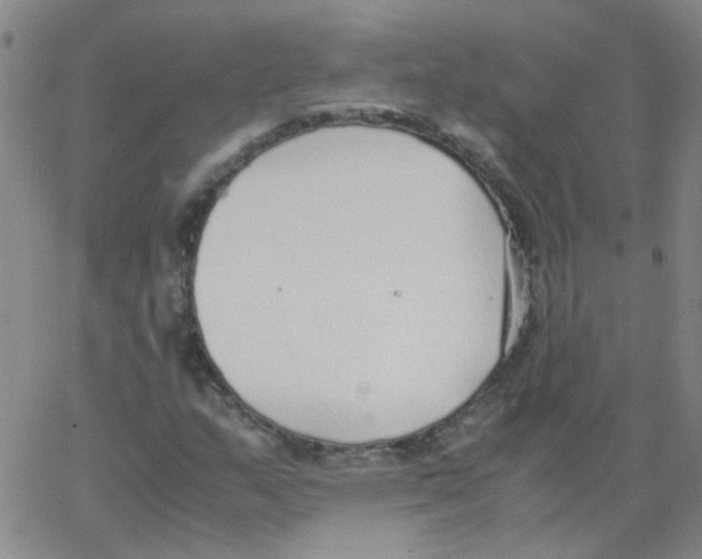 X0000062671159200601181853