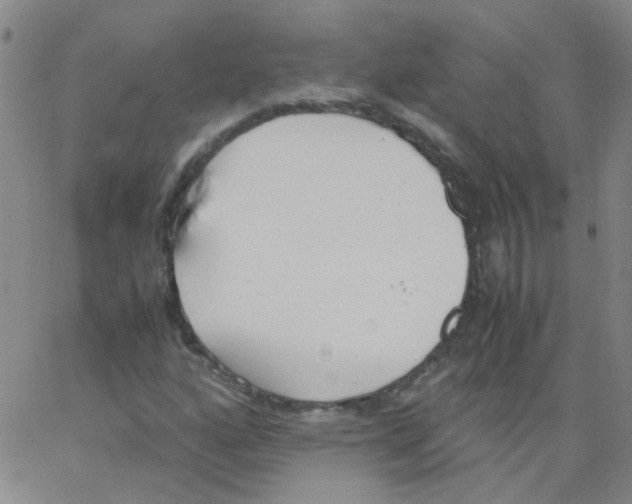 X0000062671160200601181853