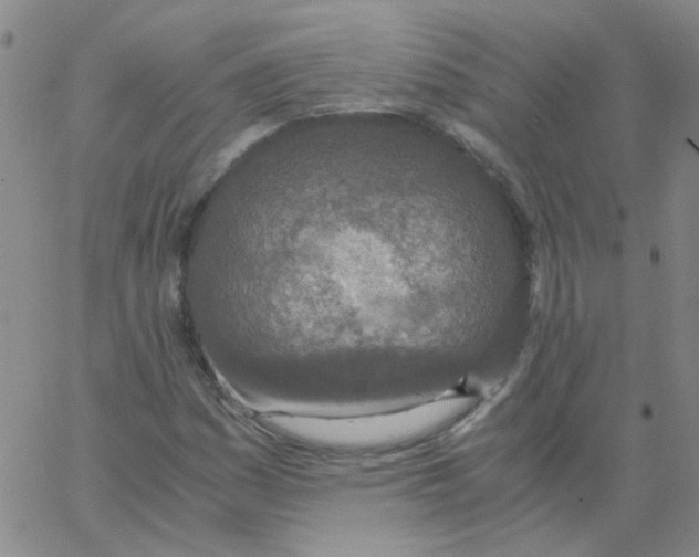 X0000062671161200601181853