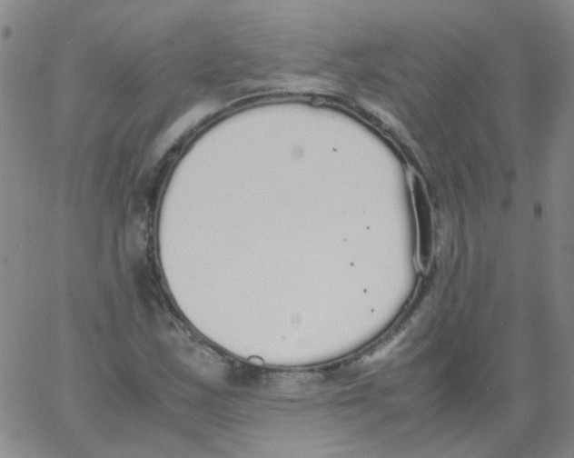 X0000062671163200601181853