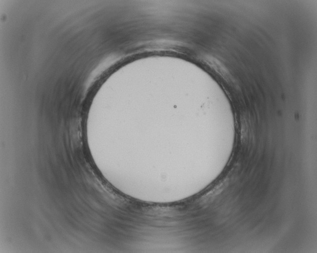 X0000062671164200601181853