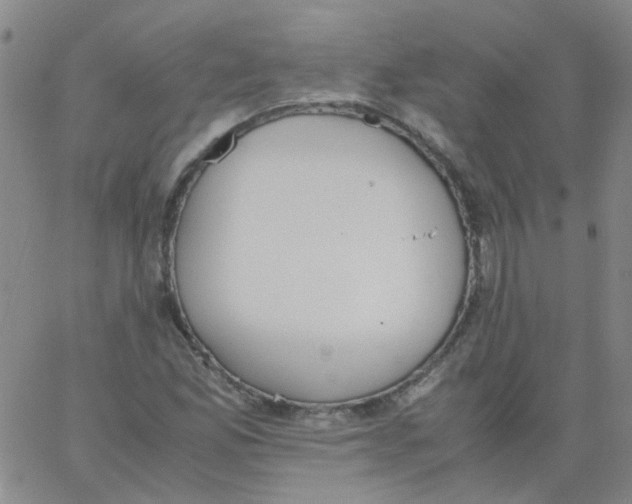 X0000062671165200601181853