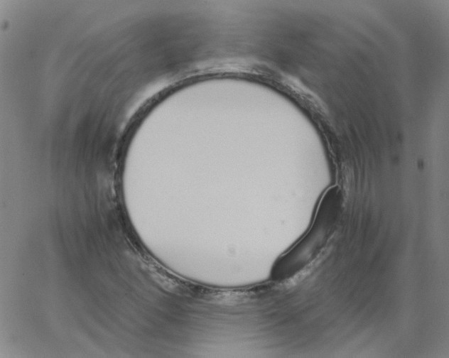 X0000062671166200601181853