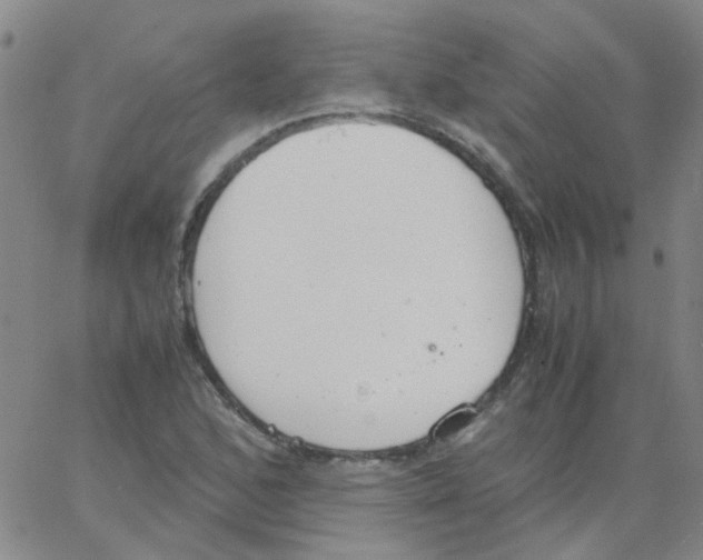 X0000062671168200601181853