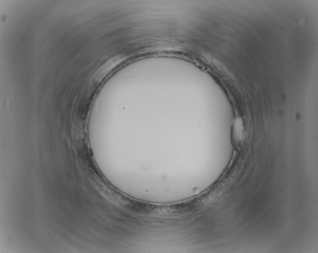 X0000062671169200601181853