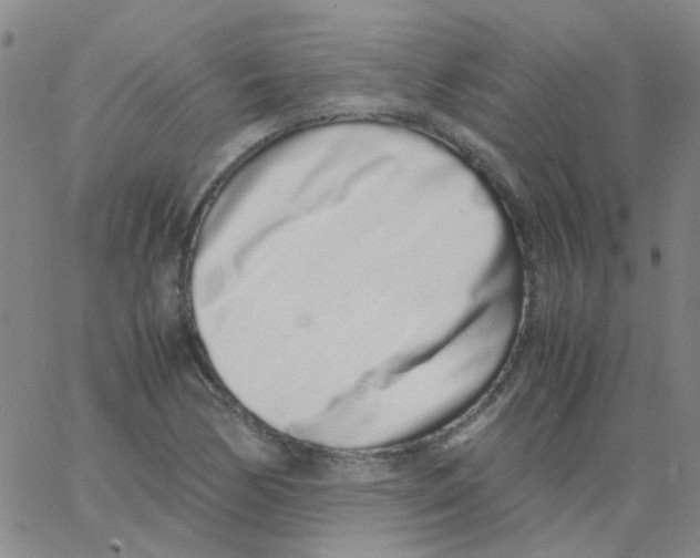 X0000062671170200601181853