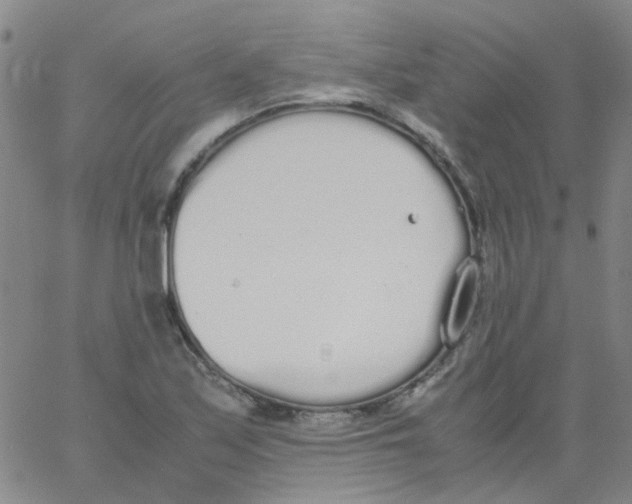 X0000062671171200601181853