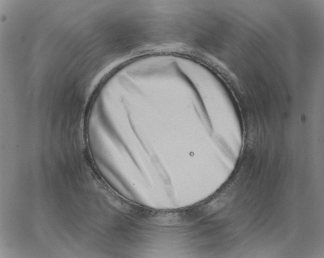 X0000062671174200601181853