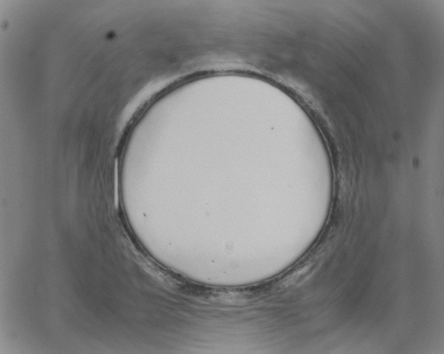 X0000062671175200601181853