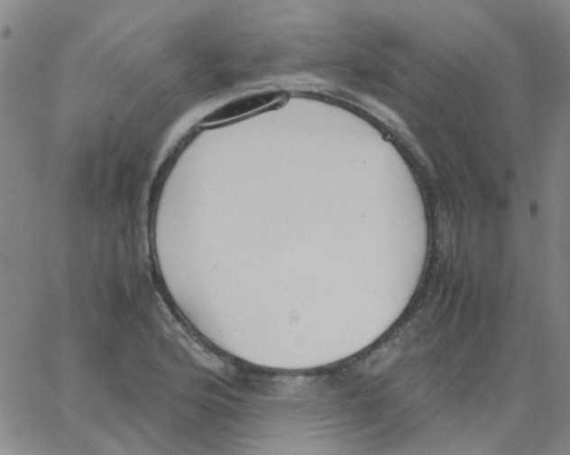 X0000062671176200601181853