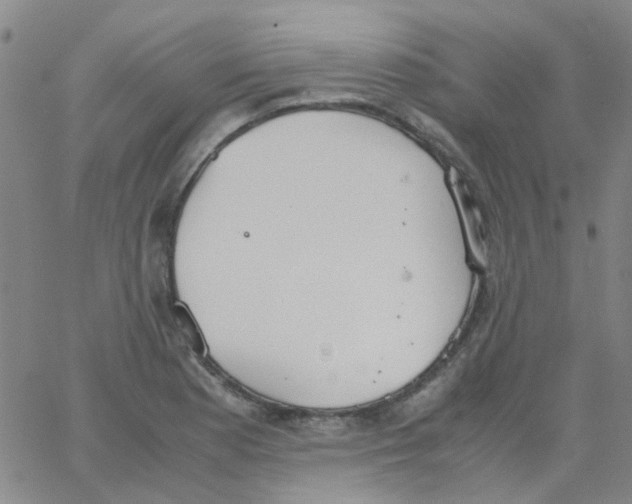 X0000062671177200601181853