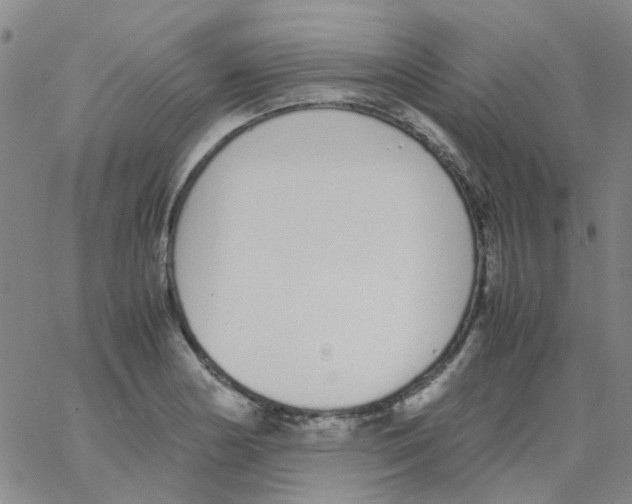 X0000062671178200601181853