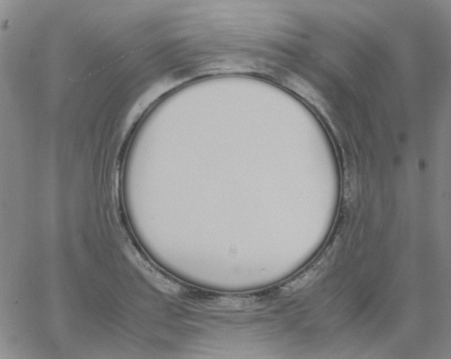 X0000062671179200601181853