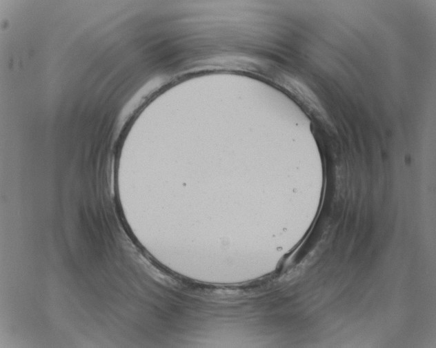 X0000062671180200601181853