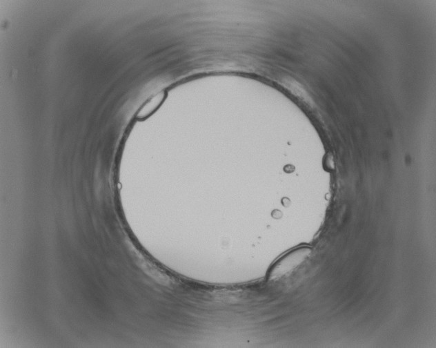 X0000062671181200601181853